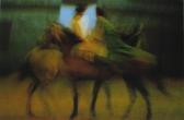 MUNTEANU Lucian Visul -le Prince Spectacol Ecvestru MUNTEANU Lucian Visul -le Prince Spectacol Ecvestru