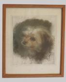 MURATON Euphemie,nee Duhanot Portrait De Chien MURATON Euphemie,nee Duhanot Portrait De Chien