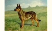 MUSS-ARNOLT Gustav Champion Merth Von Ehrengrund MUSS-ARNOLT Gustav Champion Merth Von Ehrengrund