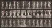 MUYBRIDGE Eadweard Animal Locomotion, Plate53 MUYBRIDGE Eadweard Animal Locomotion, Plate53
