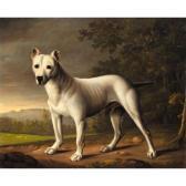 NAIRN George A Bull Terrier In A Landscape NAIRN George A Bull Terrier In A Landscape