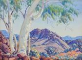 NAMATJIRA Albert ghost Gums, Honeymoon Gap, West Mac Donnells NAMATJIRA Albert ghost Gums, Honeymoon Gap, West Mac Donnells