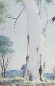 NAMATJIRA Albert Untitled (central Australian Landscape With Gumtree) NAMATJIRA Albert Untitled (central Australian Landscape With Gumtree)