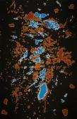 Napaltjarri Linda Syddick My Country Napaltjarri Linda Syddick My Country