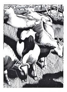 John Nash - Twenty One Wood Engravings
