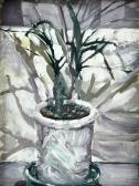 NAYEBI Babak Stillleben Mit Drachenbaum NAYEBI Babak Stillleben Mit Drachenbaum