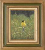 NEILL Ben Gold Finch NEILL Ben Gold Finch