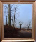 NEWCOMBE Peter A February Afternoon NEWCOMBE Peter A February Afternoon