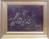 NEWCOMBE Peter Still Life NEWCOMBE Peter Still Life