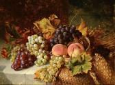 NIGHTINGALE Robert Still Life With Grapes Peaches NIGHTINGALE Robert Still Life With Grapes Peaches