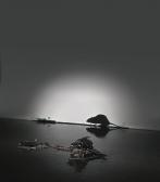 noble tim Untitled (rat And Trap) noble tim Untitled (rat And Trap)