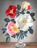 NOBLE James Shrub & Briar Roses NOBLE James Shrub & Briar Roses