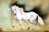 NORMAN ROUNDS HS Palomino Trotting NORMAN ROUNDS HS Palomino Trotting
