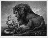 NORTHCOTE James Le Serpent Terrassé Par Le Lion NORTHCOTE James Le Serpent Terrassé Par Le Lion