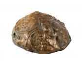 NOVELLI Gastone 2 Bronze Figures: A. Monte Collina NOVELLI Gastone 2 Bronze Figures: A. Monte Collina