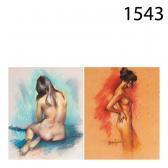NUNEZ SEGURA Jordi Desnudos Femeninos NUNEZ SEGURA Jordi Desnudos Femeninos