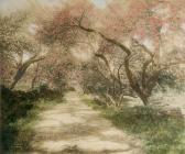 NUTTING Wallace Untitled NUTTING Wallace Untitled