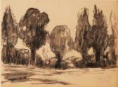 O CONOR Roderick Cypress Trees In Landscape O CONOR Roderick Cypress Trees In Landscape