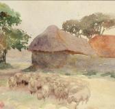 O HARA Helen 'sheep Grazing' O HARA Helen 'sheep Grazing'