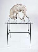 OHCHI Hiroshi Mimic Dog Bubbles OHCHI Hiroshi Mimic Dog Bubbles