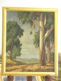 OLDERT Johan Blue Gums And Farmroad OLDERT Johan Blue Gums And Farmroad