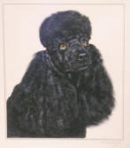 OLERENSHAW Bridget Black Poodle OLERENSHAW Bridget Black Poodle