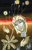 OPPENHEIM Duncan Morris The Wonderful Hawkbit OPPENHEIM Duncan Morris The Wonderful Hawkbit