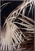 ORSINI Guido Untitled (palms) ORSINI Guido Untitled (palms)