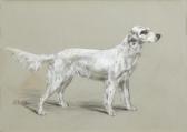 OSTHAUS Edmund Henry A Setter OSTHAUS Edmund Henry A Setter
