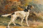 OSTHAUS Edmund Henry An English Setter OSTHAUS Edmund Henry An English Setter