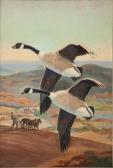 P MEGARGEE Henry Two Geese Over A Farm P MEGARGEE Henry Two Geese Over A Farm
