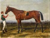 PALIZZI Filippo Cavallo Da Corsa Condotto PALIZZI Filippo Cavallo Da Corsa Condotto
