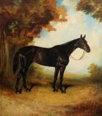 PALMER James Lynwood Sir Charles Assheton-smith's "cackler" PALMER James Lynwood Sir Charles Assheton-smith's "cackler"