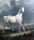 PALMER James Lynwood Study Of A White Horse In A Landscape PALMER James Lynwood Study Of A White Horse In A Landscape