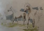 PARCEVAUX de Carl Cavaliers Et Chevaux PARCEVAUX de Carl Cavaliers Et Chevaux
