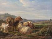 PARIS joseph francois "les Moutons" PARIS joseph francois "les Moutons"