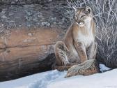 PARKER Ronald S. In The Lee Of The Stone, Snow On The Pine Chickadees PARKER Ronald S. In The Lee Of The Stone, Snow On The Pine Chickadees