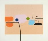 PASMORE Victor Composite Image: Orange And Pink PASMORE Victor Composite Image: Orange And Pink