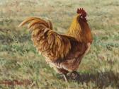 Patterson Rick Morris Linda's Rooster Patterson Rick Morris Linda's Rooster