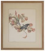 PAXTON OLIVER Elisabeth Nuthatch PAXTON OLIVER Elisabeth Nuthatch