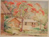 PAYNE Ernest Flamboyant Tree, Chittagong PAYNE Ernest Flamboyant Tree, Chittagong