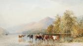 PEARSON Cornelius Cattle Watering At Lake Windermere PEARSON Cornelius Cattle Watering At Lake Windermere