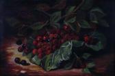 pebris josephine Still Life Cherries pebris josephine Still Life Cherries