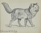 PEGRAM Frederick Siberian Wild Dog PEGRAM Frederick Siberian Wild Dog