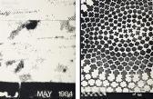 PENDLETON Adam History (may 1984 White) PENDLETON Adam History (may 1984 White)