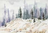 PERROTT Stanford J. Coleman Highway Snow PERROTT Stanford J. Coleman Highway Snow