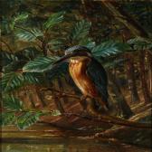 PETERSEN Sophus A Kingfisher On A Branch PETERSEN Sophus A Kingfisher On A Branch