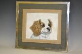 PETHERICK R.H Spaniel, Dandy PETHERICK R.H Spaniel, Dandy