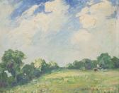 PFEIFFER Harry R. Pastoral Landscape With Open Field And
White Billowing Clouds Against A Blue Sky PFEIFFER Harry R. Pastoral Landscape With Open Field And
White Billowing Clouds Against A Blue Sky