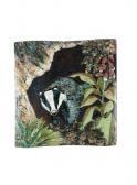 PHIPPS Rae Badger PHIPPS Rae Badger